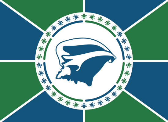 Martinique flag