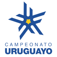 Primera Division logo