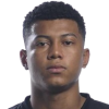 Alason Carioca