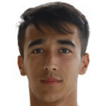 Mutlu Guler
