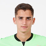 D. Oncescu