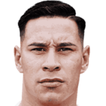 G. Navarro