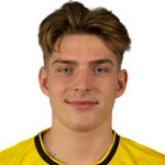 J. Niemczyk