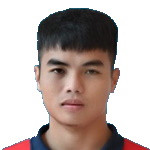 Duc Hoang Minh Nguyen