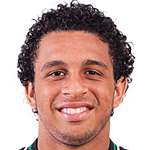 Wellington Nem