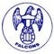 Toronto Falcons crest