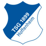 Hoffenheim U19 crest