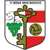 TJ Tatran Bohunice crest