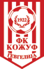 FK Kozuv Gevgelija crest