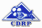 Rabo Peixe crest